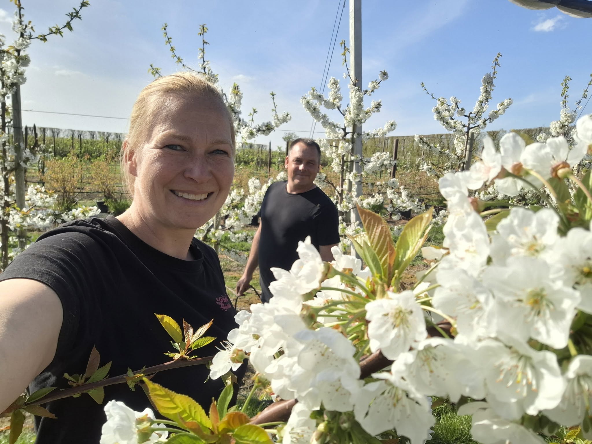 Two people smiling in an orchard with white blossoms on the trees under a bright blue sky.